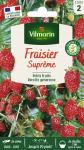 Potagères - Fraisier 4 saisons Suprême - face recto